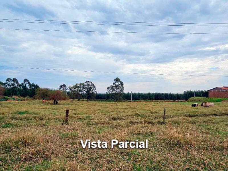 Terreno - São Carlos do Ivaí - PR