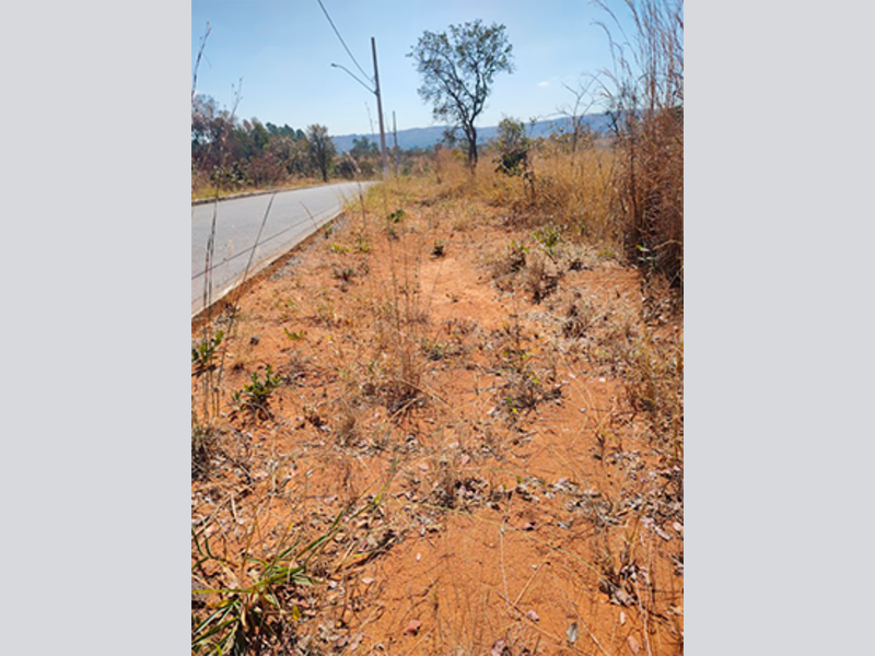 Terreno - Caetanópolis - MG