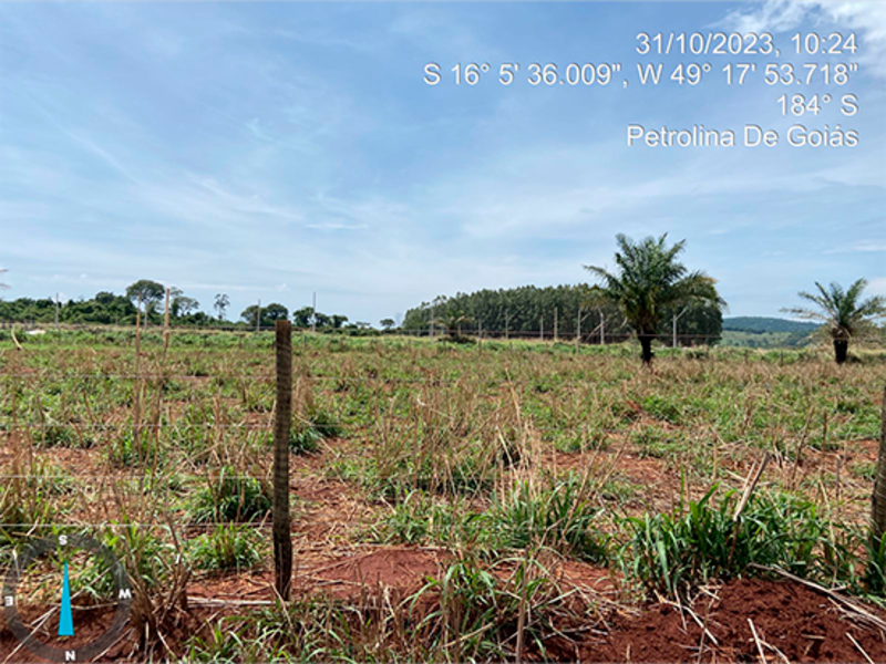 Terreno - Petrolina de Goiás - GO