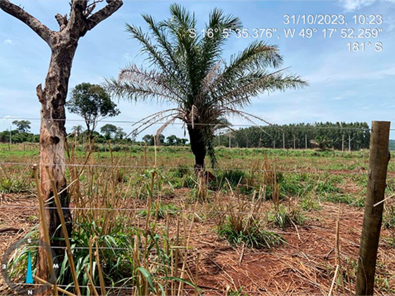 Terreno - Petrolina de Goiás - GO