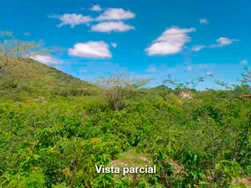 Terreno - Taquaritinga do Norte - PE