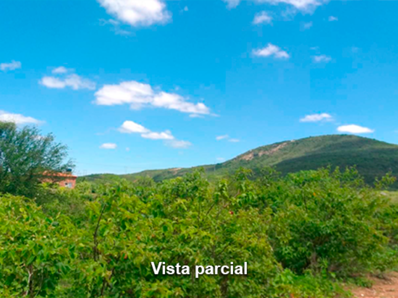 Terreno - Taquaritinga do Norte - PE