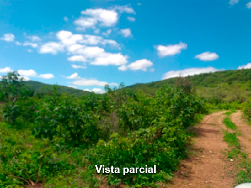 Terreno - Taquaritinga do Norte - PE