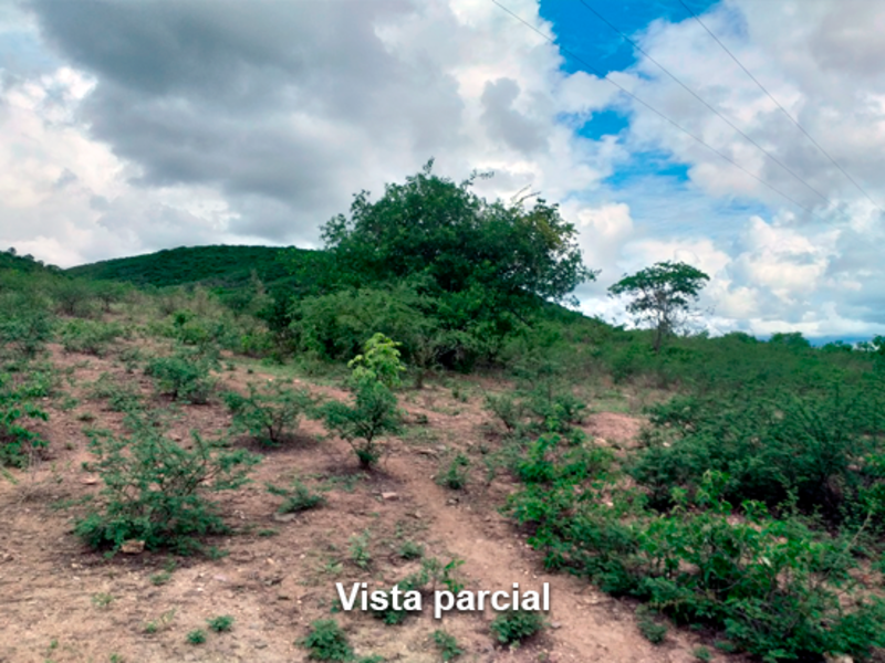 Terreno - Taquaritinga do Norte - PE