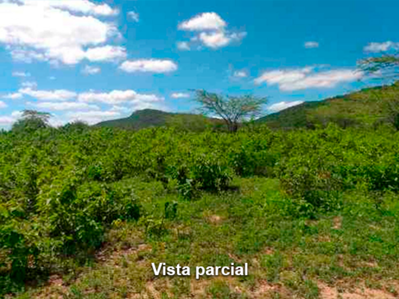 Terreno - Taquaritinga do Norte - PE