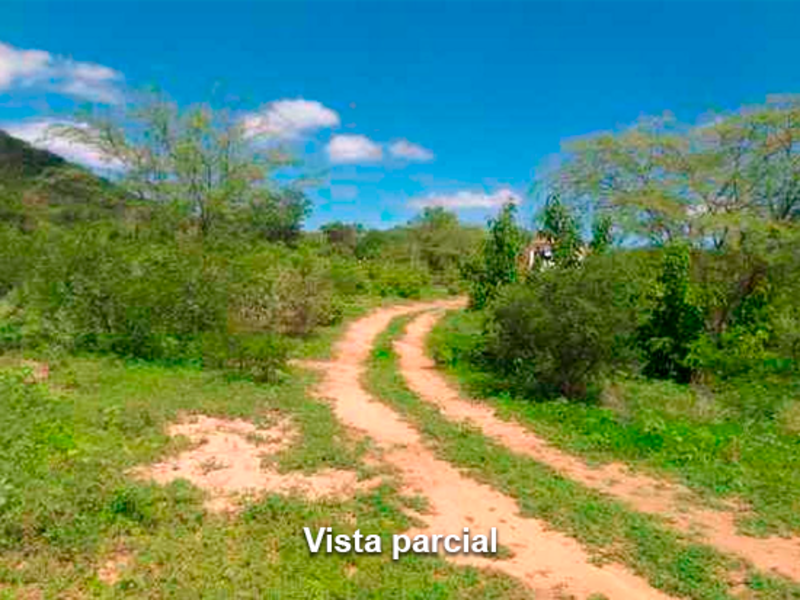 Terreno Taquaritinga do Norte PE