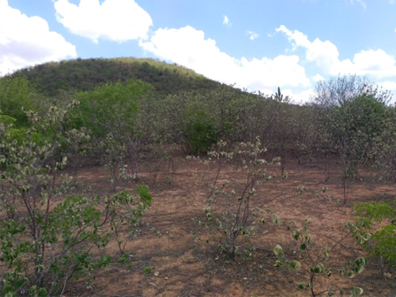 Terreno - Taquaritinga do Norte - PE