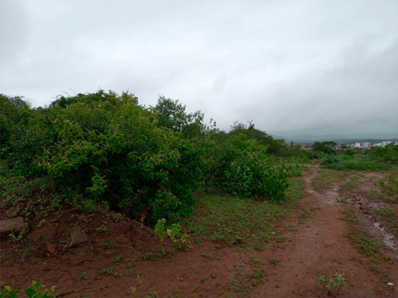 Terreno - Taquaritinga do Norte - PE