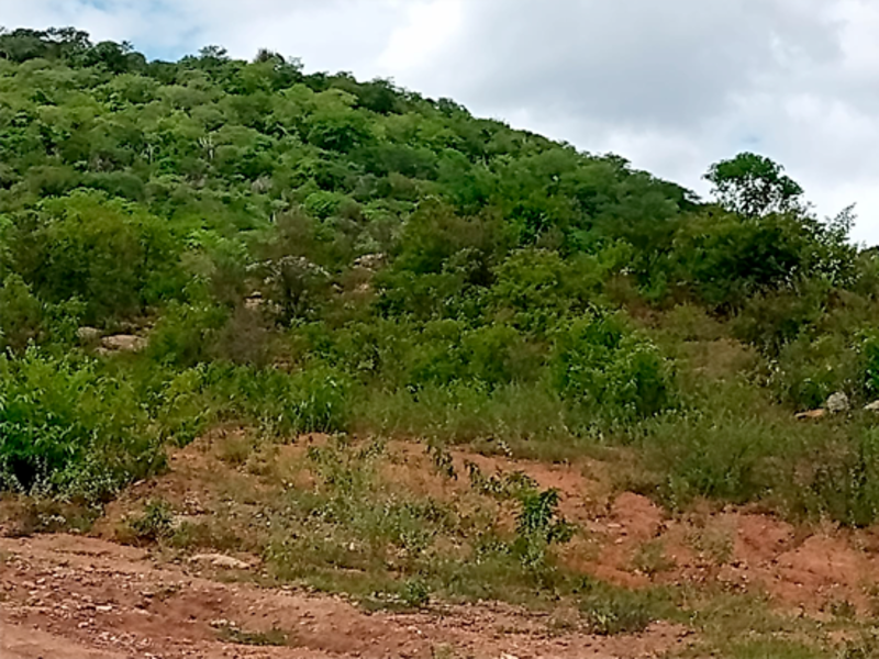 Terreno - Taquaritinga do Norte - PE