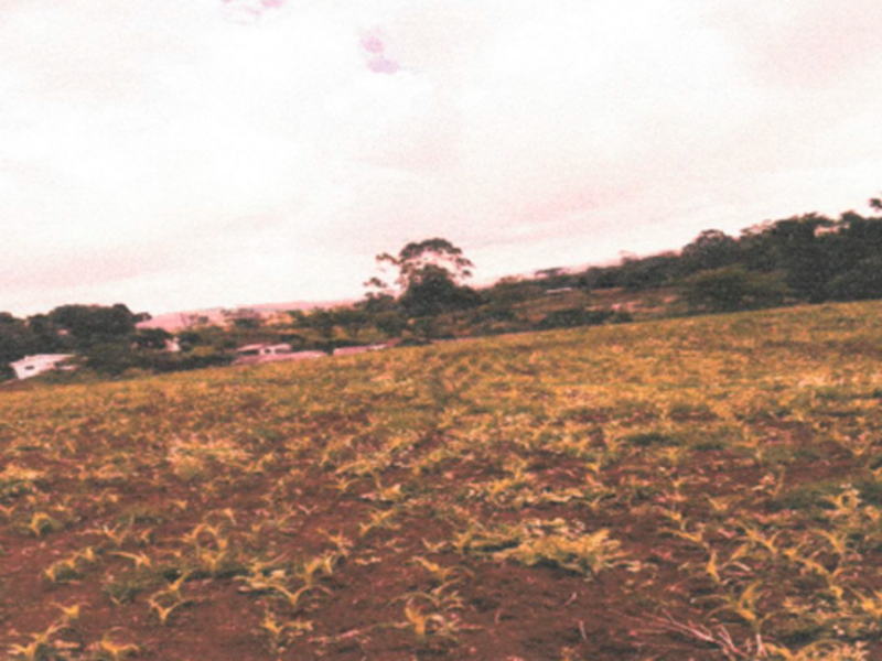Terreno - guaraniaçu - pr