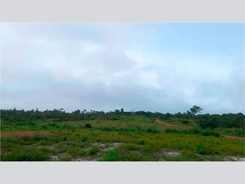 Terreno - mocajuba - pa