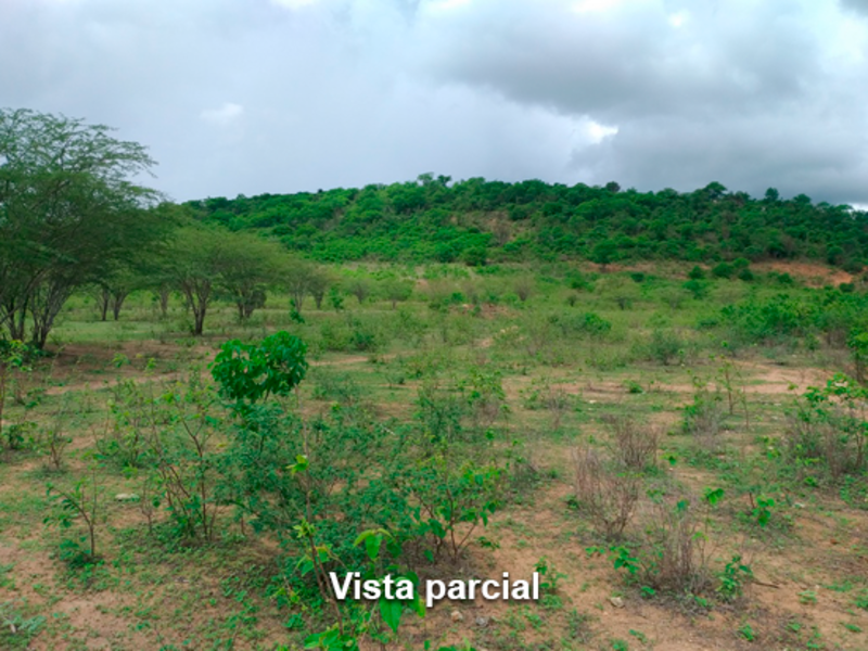 Terreno - Taquaritinga do Norte - PE