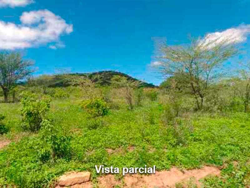 Terreno taquaritinga do norte pe
