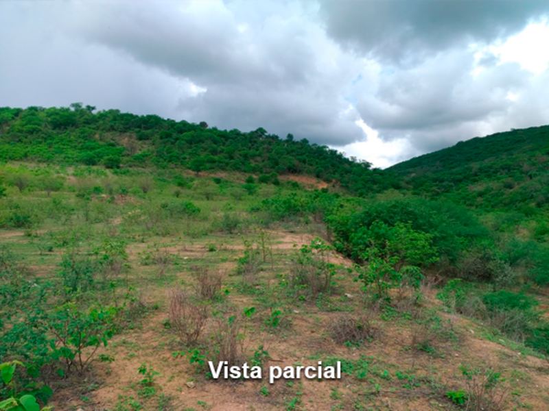 Terreno taquaritinga do norte pe