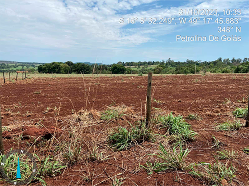 Terreno - petrolina de goiás - go