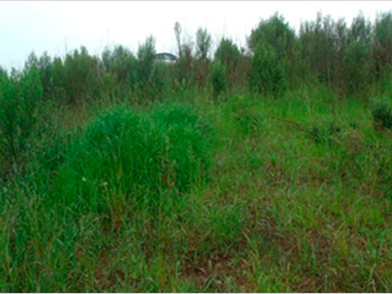 Terreno - erechim - rs
