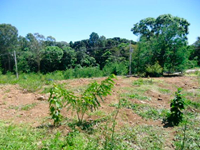Terreno Nova Petrópolis RS