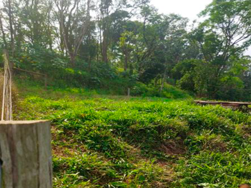 Terreno - capitão leônidas marques - pr