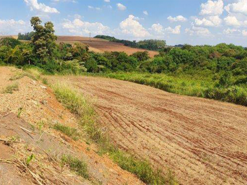 Terreno - maringá - pr
