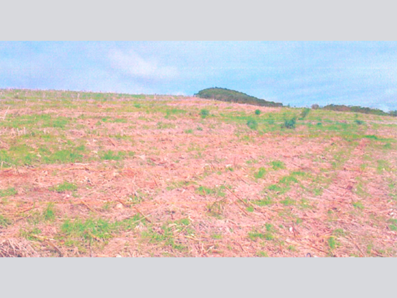 Terreno - Tangará - SC