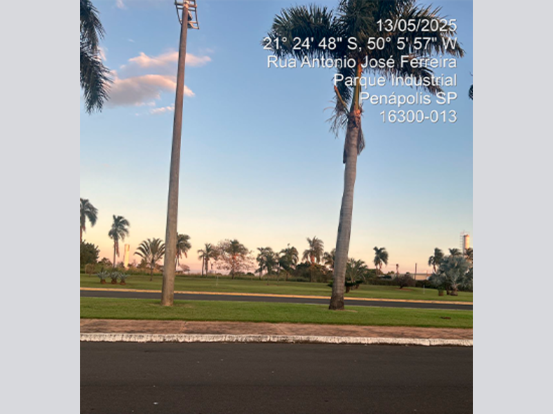 Terreno - penápolis - sp