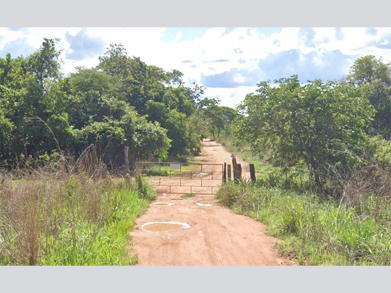 Fazenda - Lagoa Grande - MG