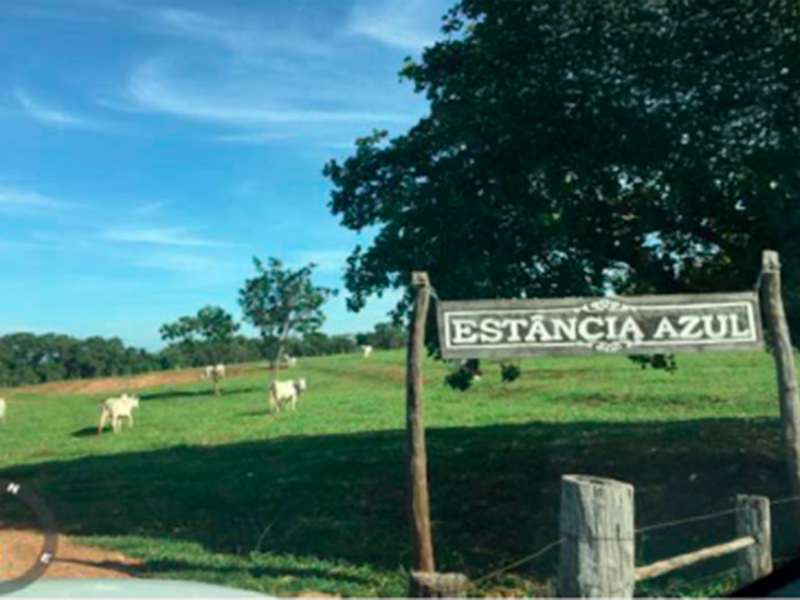 Casa - terenos - ms