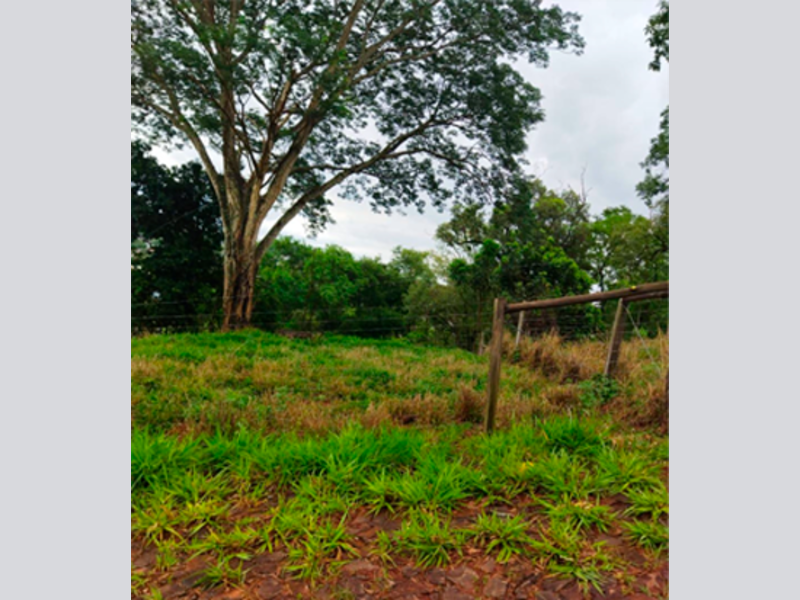 Terreno - capitão leônidas marques - pr