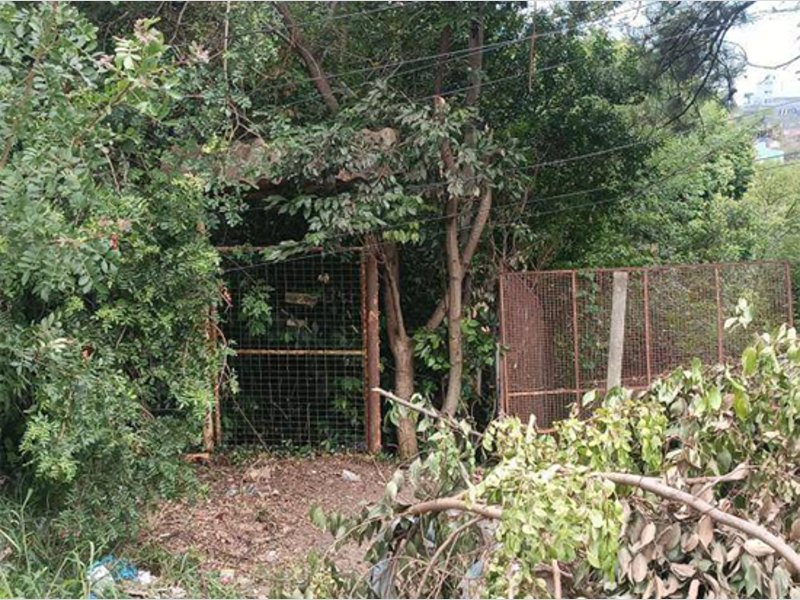 Terreno - viamão - rs