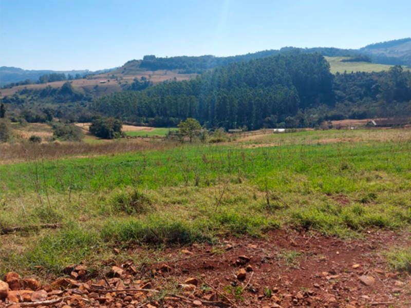 Terrenos - Águas Frias - SC