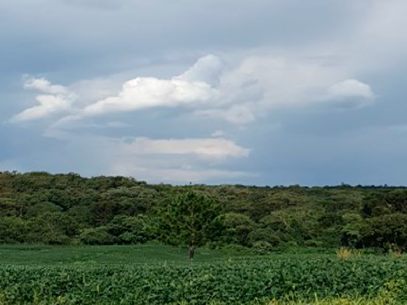 Terreno - irati - pr