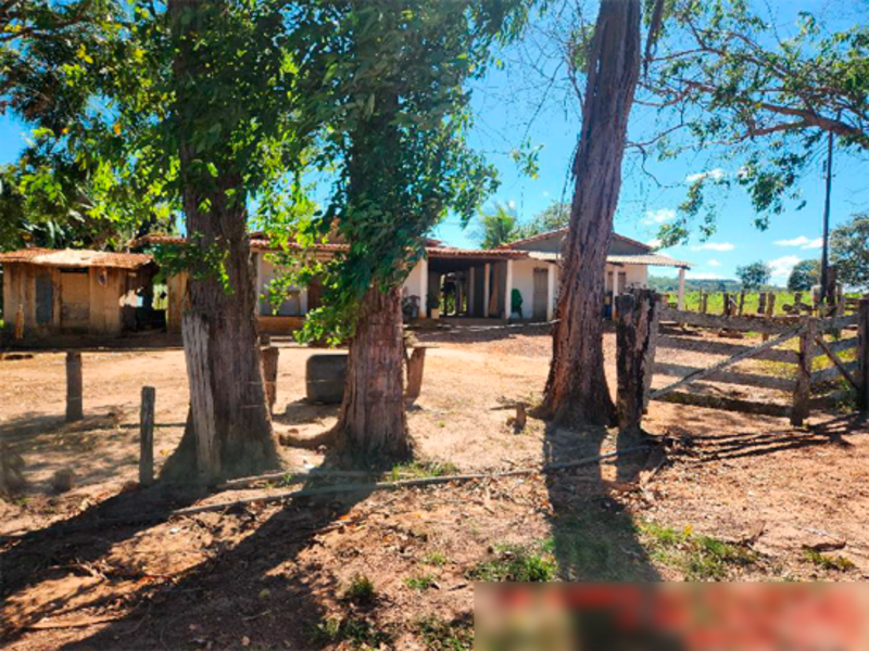 Fazenda - São Francisco do Brejão - MA