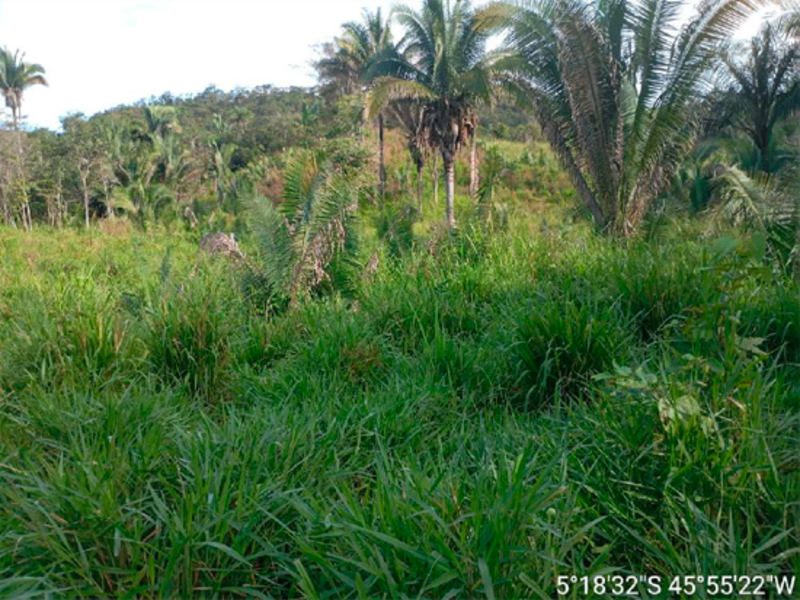 Terreno - itaipava do grajaú - ma