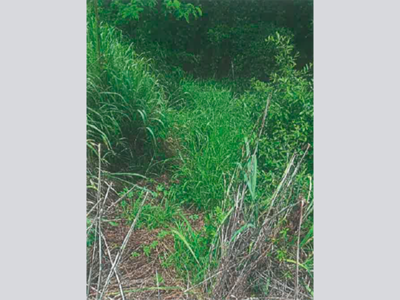 Terreno - Corumbaíba - GO