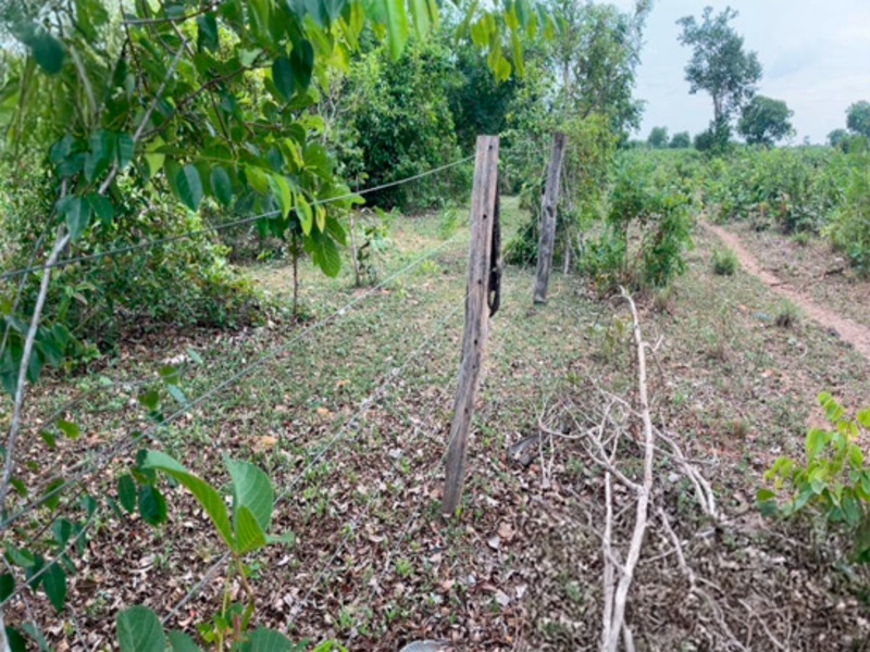 Fazenda - Lajeado Novo - MA