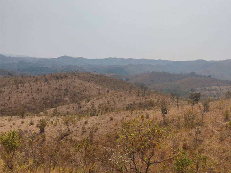 Fazenda - Lagamar - MG