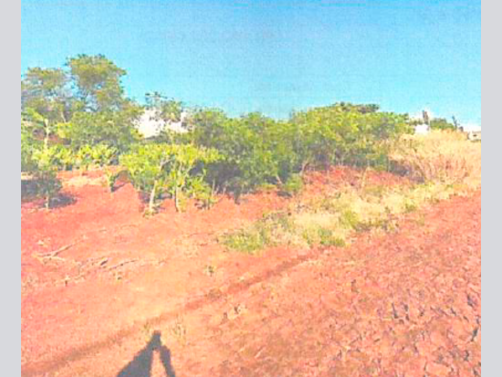 Terreno - Realeza - PR - Terreno Rural,Residencial,Comercial,Terreno Urbano - Realeza/PR. Loteamento Residencial Cidade Universitária. Rua São Pedro, sn (Lote 04 da Quadra 452). Terreno com área superficial de 325,00m². Matrícula 25.588 do RI local. - Não informado BR - lance mínimo R$ 141.628