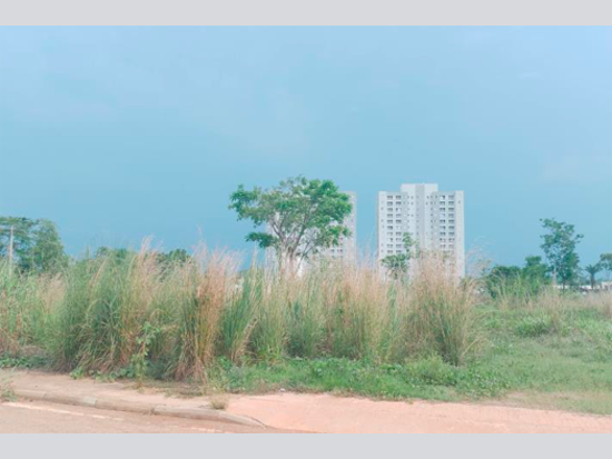 Terreno -  Rio Branco - AC - Residencial,Terreno Urbano,Comercial - Rio Branco/AC. Bairro Floresta. Rua Edebrando Caetano de Souza, sn. Terreno com área superficial de 9.782 ,98m². Matrícula 10.268 do 2º RI local. - Não informado BR - lance mínimo R$ 1.200.000