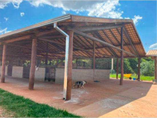 Haras - Ipiguá - SP - Residencial,Terreno Urbano,Comercial - Ipiguá/SP. Loteamento Reserva dos Equestres. Rua Projetada 01, sn (Lote 02 da Quadra E). Terreno com área superficial de 1.024,77m². Matrícula 221.950 do 1º RI da Comarca de São José do Rio Preto. - leilão extrajudicial - Não informado BR - lance mínimo R$ 210.000