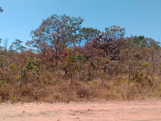 Chácara - Planaltina - GO - Residencial,Rural,Terreno - Planaltina/GO. Uma Chácara número 2.003-A com área superficial de 10.000,00m², situado no loteamento denominado Chácaras Santa Maria, melhor descrito(a), confrontado(a) e caracterizado(a) em matrícula. Matrícula 73.883 do RI local. - leilão extrajudicial - Não informado BR - lance mínimo R$ 46.000