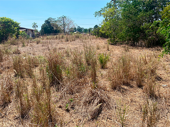 Terreno - Paranaíta - MT - Comercial,Rural,Residencial - Paranaíta/MT. Centro (in loco). Avenida Maria Elisa Miyazima, sn (LC 34C). Terreno com área superficial de 3.350,00m². Matrícula 3.195 do 1º RI local. - leilão extrajudicial - Não informado BR - lance mínimo R$ 230.000