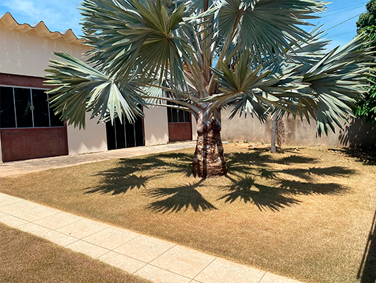 Casa - Paranaíta - MT - Comercial,Rural,Residencial - Paranaíta/MT. Bairro Setor SE 2-C. Rua C2, sn (in loco) (Lote 05 da Quadra 02). Casa. Áreas: construída 208,73m² e terreno 450,00m². Matrícula 3.685 do 1º RI local. - Não informado BR - lance mínimo R$ 480.000