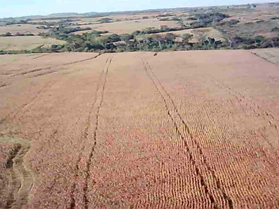 Terreno -  Nova Guarita MT - Comercial,Rural,Residencial - Nova Guarita/MT. A) Terreno rural com área superficial de 106,6514 ha, situado no lugar denominado Fazenda Deus Me Deu, melhor descrito(a), confrontado(a) e caracterizado(a) em matrícula. Matrícula 9.880 do RI da Comarca de Terra Nova do Norte/MT. - leilão extrajudicial - Não informado BR - lance mínimo R$ 5.900.000