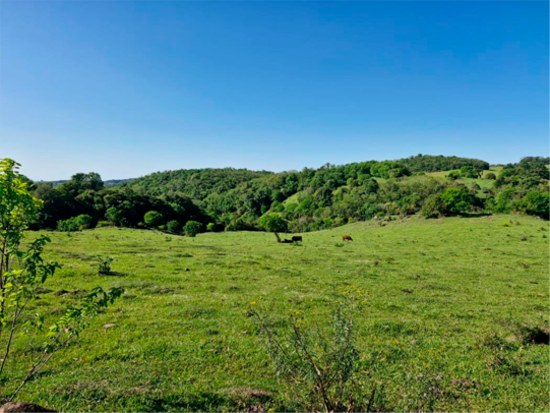 Terreno - Machadinho - RS - Terreno Rural,Residencial,Comercial,Terreno Urbano - Machadinho/RS. Parte do lote rural 50 com área superficial de 52.900,00m², situado no lugar denominado Secção Benjamin Constant, melhor descrito(a), confrontado(a) e caracterizado(a) em matrícula. INCRA 869.147.004.197-0 (da área maior). Matrícula 3.478 do RI de Machadinho/RS. - leilão extrajudicial - Não informado BR - lance mínimo R$ 242.334