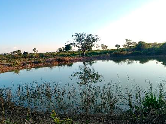 Terreno - Goianésia do Pará - PA - Terreno Rural,Comercial,Industrial,Residencial,Terreno,Rural,Terreno Urbano - Não informado - leilão extrajudicial - Não informado BR - lance mínimo R$ 864.000