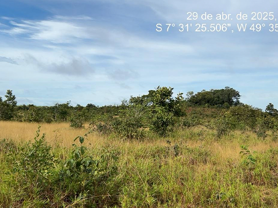 Terreno - Floresta do Araguaia - PA - Terreno Rural,Comercial,Industrial,Residencial,Terreno,Rural,Terreno Urbano - Não informado - leilão extrajudicial - Não informado BR - lance mínimo R$ 378.000