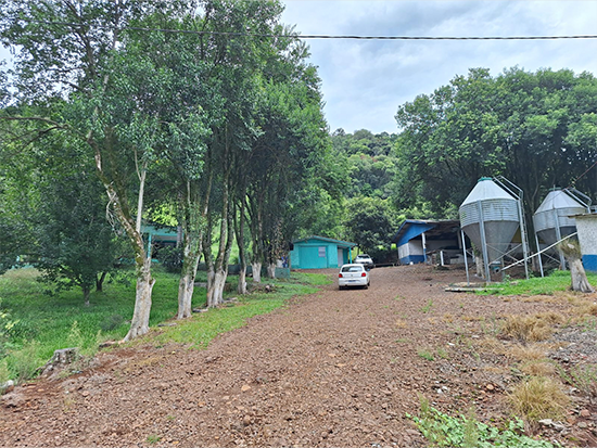 Terreno Constantina RS - Terreno Rural,Comercial,Industrial,Residencial,Terreno,Rural,Terreno Urbano - Constantina/RS. Terreno rural com área superficial de 50.000m² situado no lugar denominado Linha São Marcos (Lote 114), melhor descrito(a), confrontado(a) e caracterizado(a) em matrícula. INCRA 221.082.076.503-8. Matrícula 7.801 do RI local. Obs.: Regularizações e encargos perante os órgãos competentes, correrão por conta do(a) comprador(a).Caberá, ao(à) comprador(a) georreferenciamento ou levantamento topográfico, inclusive memorial descritivo, e verificar a totalidade de Área destinada à Preservação Permanente (APP), bem como a responsabilidade de levantamento topográfico e eventual caracterização para imóvel rural. Ainda, caberá ao(a) comprador(a), verificar eventual instituição de servidão de passagem, pois o terreno verificar eventual instituição de servidão de passagem, pois o terreno é encravado com eventual necessidade de arruamento. Desocupado. Eventual desocupação por conta do(a) comprador(a). - leilão extrajudicial - Não informado BR - lance mínimo R$ 750.000