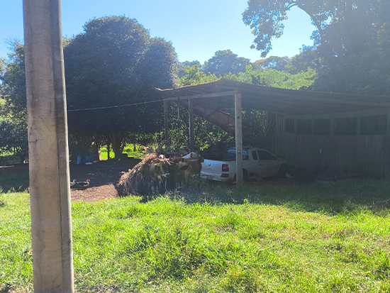 Terreno Trindade do Sul RS - Terreno Rural,Comercial,Industrial,Residencial,Terreno,Rural,Terreno Urbano - Trindade do Sul/RS. Terreno rural com área superficial de 3,00has, situado no lugar denominado Caturrita (Lote 92-B), melhor descrito(a), confrontado(a) e caracterizado(a) em matrícula. INCRA 951.030.686.816-1 (área maior). Matrícula 3.766 do RI da Comarca de Nonoai/RS. Obs.: Regularizações e encargos perante os órgãos competentes, correrão por conta do(a) comprador(a). Caberá, ao(à) comprador(a) georreferenciamento ou levantamento topográfico, inclusive memorial descritivo, e verificar a totalidade de Área destinada à Preservação Permanente (APP), bem como a responsabilidade de levantamento topográfico e eventual caracterização para imóvel rural. Ainda, caberá ao(a) comprador(a), verificar eventual rural. Ainda, caberá ao(a) comprador(a), verificar eventual instituição de servidão de passagem, pois o terreno é encravado com eventual necessidade de arruamento. Ocupado. - leilão extrajudicial - Não informado BR - lance mínimo R$ 26.600