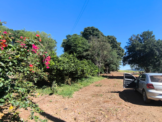 Terreno Trindade do Sul RS - Terreno Rural,Comercial,Industrial,Residencial,Terreno,Rural,Terreno Urbano - Trindade do Sul/RS. Terreno rural com área superficial de 9,600has, situado no lugar denominado Caturrita (Lote 92-A), melhor descrito(a), confrontado(a) e caracterizado(a) em matrícula. INCRA 868.248.006.319-0 (área maior). Matrícula 529 do RI da Comarca de Nonoai/RS. - Não informado BR - lance mínimo R$ 99.400