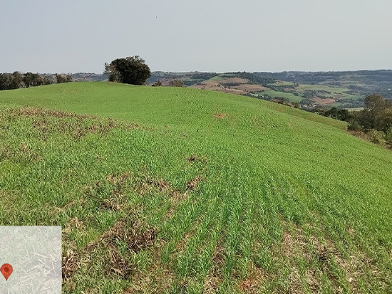Terreno Nonoai RS - Terreno Rural,Comercial,Industrial,Residencial,Terreno,Rural,Terreno Urbano - Trindade do Sul/RS. Terreno rural com área superficial de 8,2500has, situado no lugar denominado Linha Seca, melhor descrito(a), confrontado(a) e caracterizado(a) em matrícula. INCRA 868.248.100.110-5 (área maior). Matrícula 4.827 do RI da Comarca de Nonoai/RS. Obs.: Regularizações e encargos perante os órgãos competentes, correrão por conta do(a) comprador(a). Caberá, ao(à) comprador(a) georreferenciamento ou levantamento topográfico, inclusive memorial descritivo, e verificar a totalidade de Área destinada à Preservação Permanente (APP), bem como a responsabilidade de levantamento topográfico e eventual caracterização para imóvel rural. Ainda, caberá ao(a) comprador(a), verificar eventual rural. Ainda, caberá ao(a) comprador(a), verificar eventual instituição de servidão de passagem, pois o terreno é encravado com eventual necessidade de arruamento. Desocupado. Eventual desocupação - leilão extrajudicial - Não informado BR - lance mínimo R$ 272.000